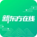 下定決心�！消息人士	：自進入NBA以來東契奇首次放棄歐洲暑假生活