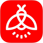 庫明加先簽後換最好報價是4年總額接近9000萬 最後一年為球員選項